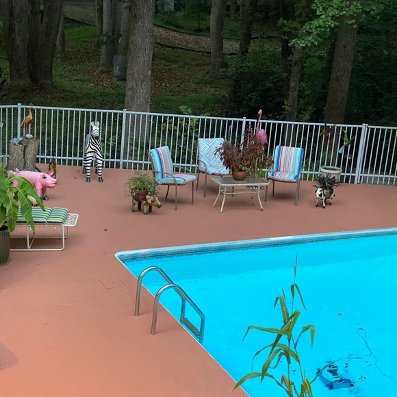 Please feel free to say hello❤️👍😊🌹🌹🌹🌹 - Picture 10 of 16